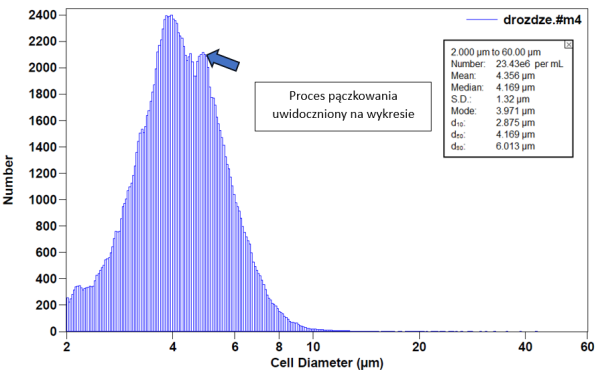 Rozkład wielkości cząstek drożdży uzyskany z analizatora Multisizer 4e