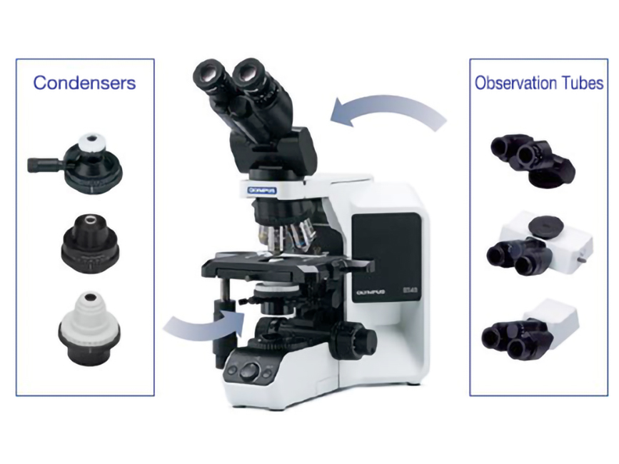 Olympus BX43 11