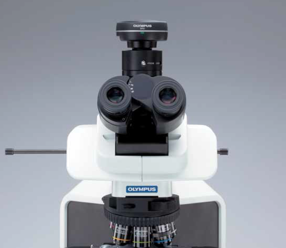 Olympus BX46.5pdf