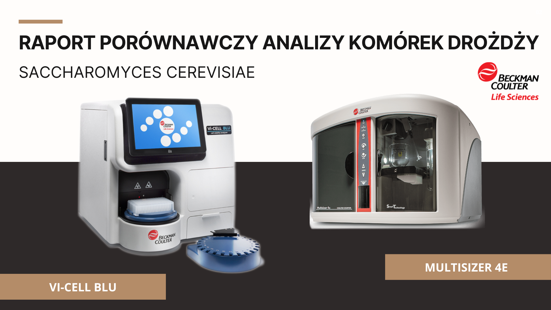 Vi-CELL vs MS4 - Raport porównawczy analizy komórek drożdży Saccharomyces cerevisiae na dwóch analizatorach