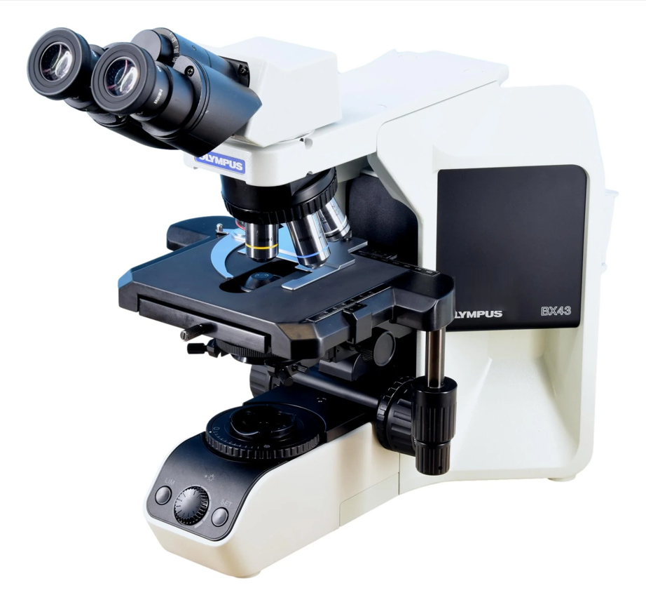 bx43 mikroskop