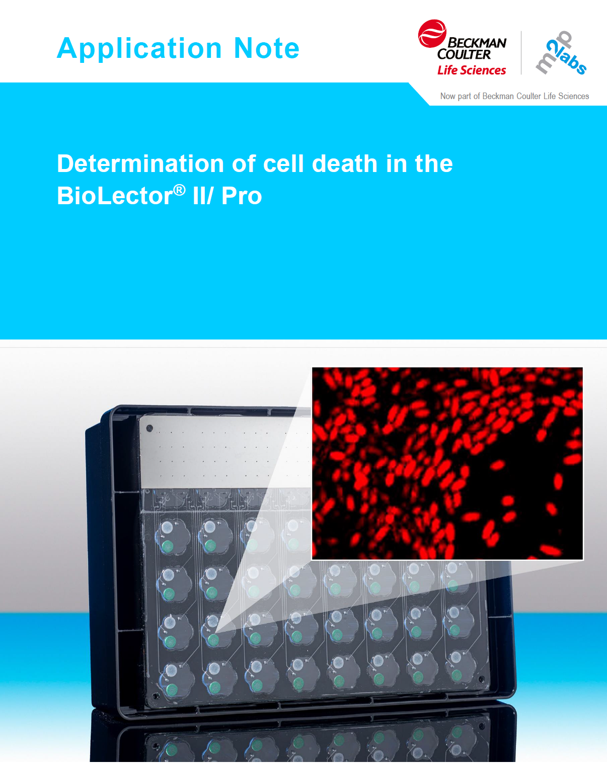 Ocena żywotności komórek oraz oznaczanie śmierci komórkowej przy użyciu mikrobioreaktora BioLector. Podejścia aplikacyjne do pomiarów jodku propidyny